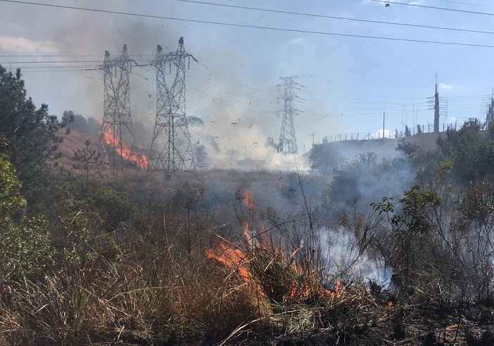 Bombeiros combatem dois incêndios em mata no interior de Minas - CBMMG/Divulgação 