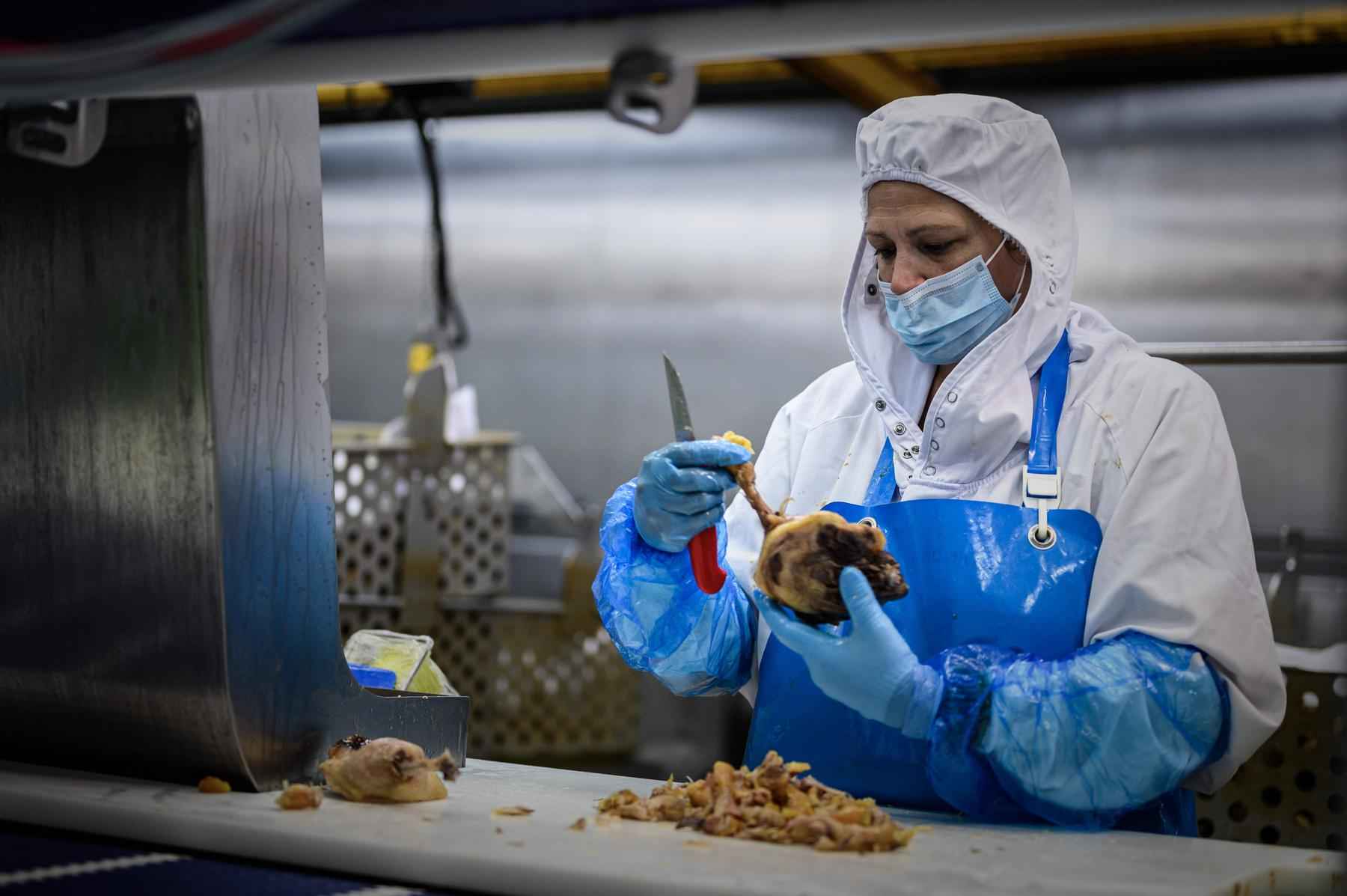Empresa francesa estuda produção de foie gras em laboratório - AFP / Philippe LOPEZ