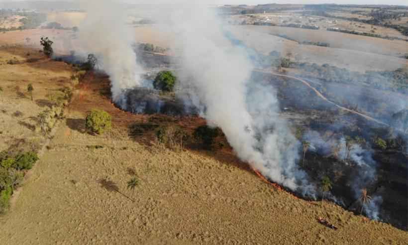 Incêndio em vegetação de Araxá destrói o equivalente a 20 campos de futebol - Corpo de Bombeiros de Araxá/Divulgação