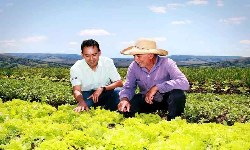 Agricultura familiar se reinventou na pandemia para alimentar cidades - Divulgação/Emater