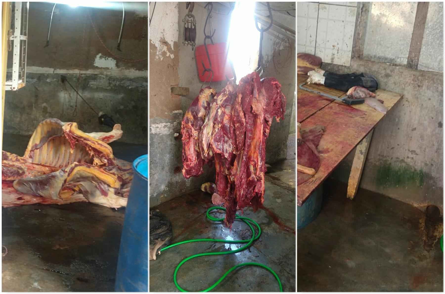 Suposto abatedouro clandestino e insalubre é interditado em Bicas - PMMG/Divulgação