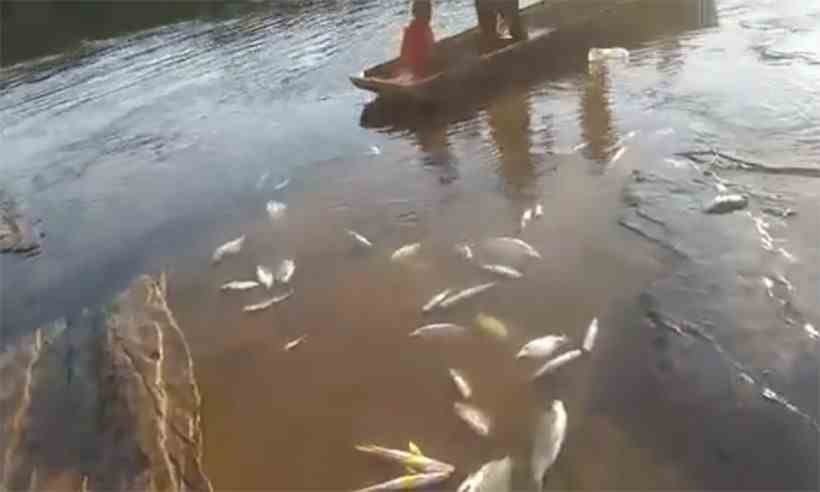Suspeita de contaminação do Rio Pará, em Minas, ameaça aldeias kaxixó - Reprodução/WhatsApp