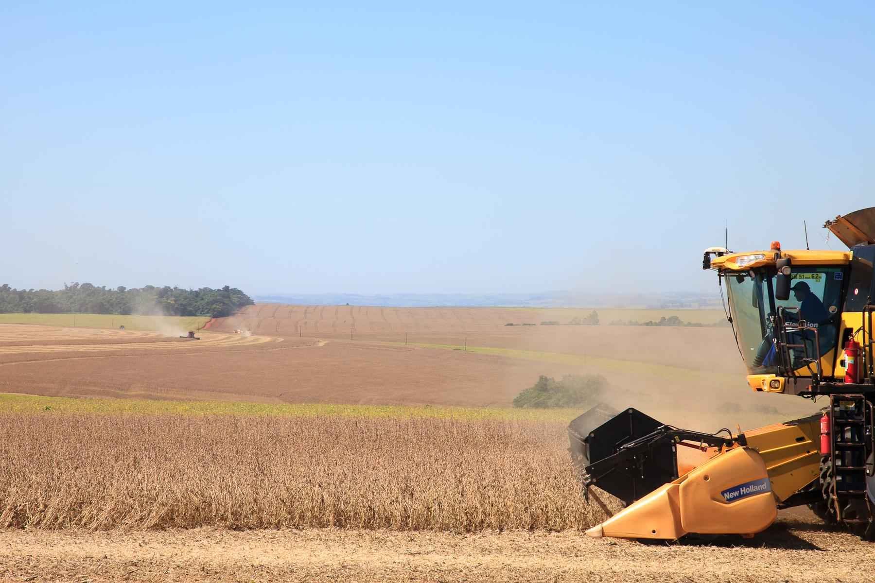 Nós lá fora: o que deteriora a imagem do Brasil no exterior - MONSANTO/DIVULGACAO