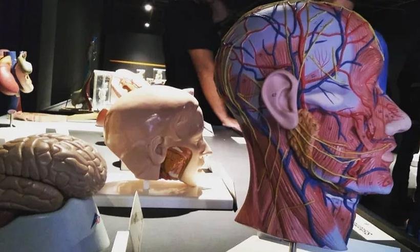 Museu Memória Viva da UFTM disponibiliza visitas virtuais para escolas - UFTM Uberaba/Divulgação