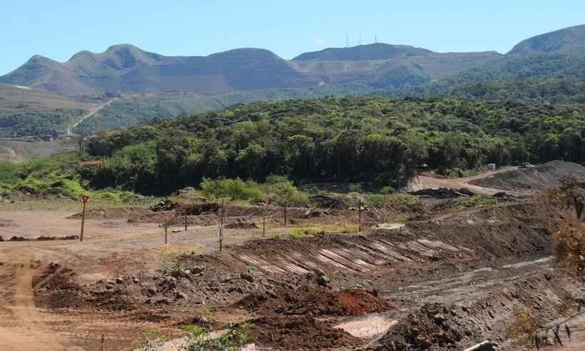 Cadela que atuou em Brumadinho se aposenta dos Bombeiros - Juarez Rodrigues/EM/D.A Press