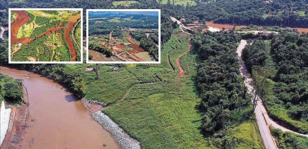 Cientistas desenvolvem técnica para acelerar reflorestamento em Brumadinho