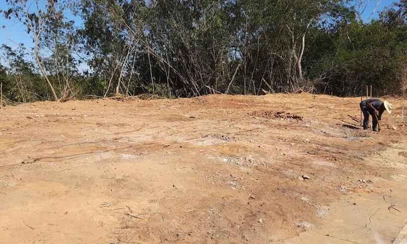 Lagoa Santa: moradores pedem ao MP que investigue destruição de área verde - Divulgação/ Amore