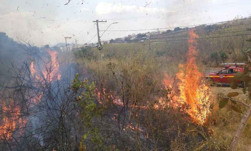 VÍDEO: Incêndio de grandes proporções consome Mata do Baleia, em BH - CBMG/Divulgação