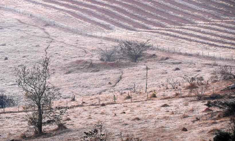 Mais de 20 mil produtores rurais foram prejudicados pelas geadas em MG - Douglas Magno / AFP