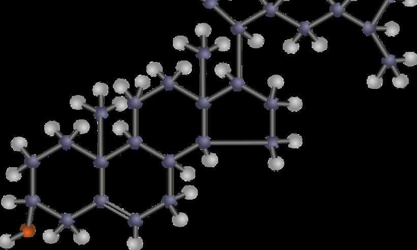 Estudo científico comprova correlação entre o colesterol e o Alzheimer -  OpenClipart-Vectors/Pixabay 