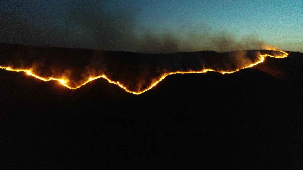 Fogo em Pitangui destrói área florestal equivalente a 770 campos de futebol - Corpo de Bombeiros de MG/Divulgação