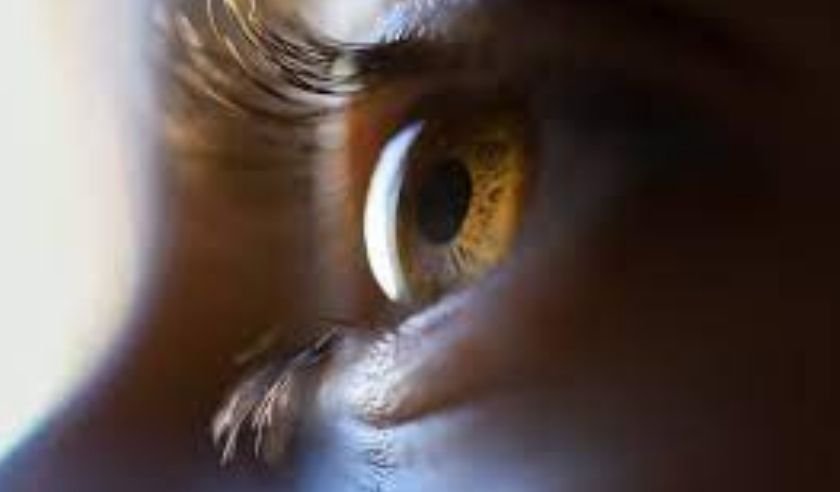 Especialista esclarece principais mitos sobre a saúde dos olhos; veja mais  - PxHere/Reprodução  