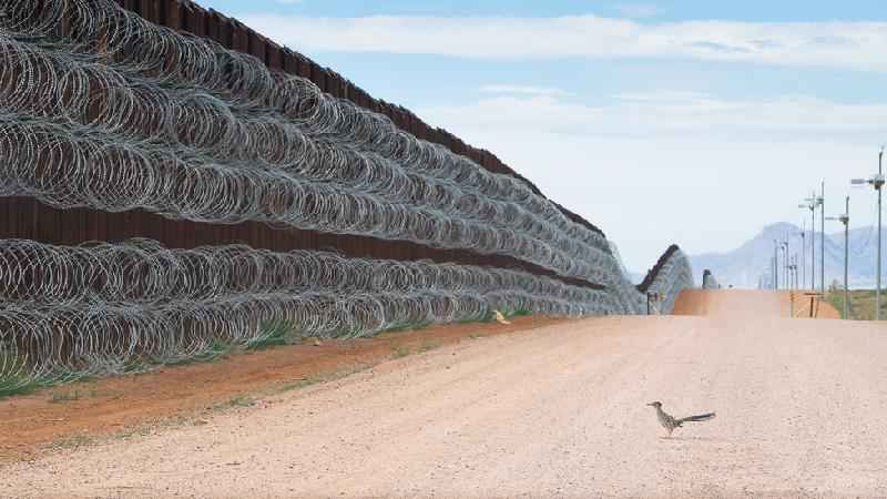 A premiada imagem de 'papa-léguas' diante de muro entre EUA e México - Alejandro Prieto / Bird Photographer of the Year