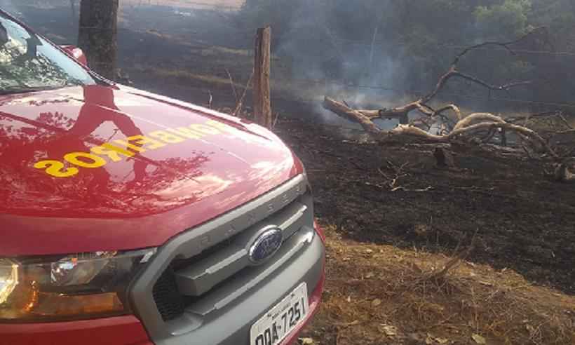 Fogo destrói 300 hectares de mata preservada no Triângulo Mineiro - CBMMG
