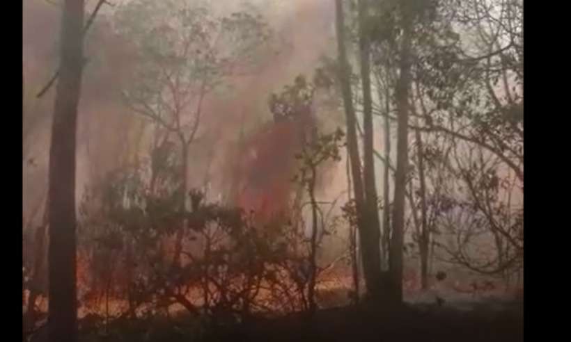 Incêndio no Parque da Serra do Gandarela, em Rio Acima, já dura cinco dias - Walisson/Brigada do PARNA Gandarela