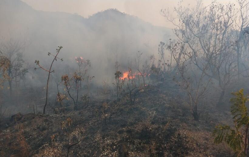 Minas registra destruição em mais de 700 focos de incêndio durante feriadão - Divulgação/Corpo de Bombeiros