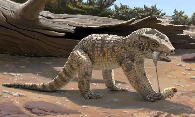 Fóssil de crocodilo que viveu há 80 milhões de anos é achado em Uberaba - Júlia d'Oliveira/Divulgação