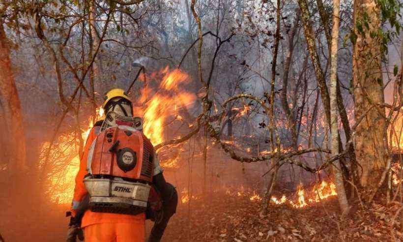 Minas em chamas: veja os principais focos de incêndio no estado - Corpo de Bombeiros de MG/Divulgação