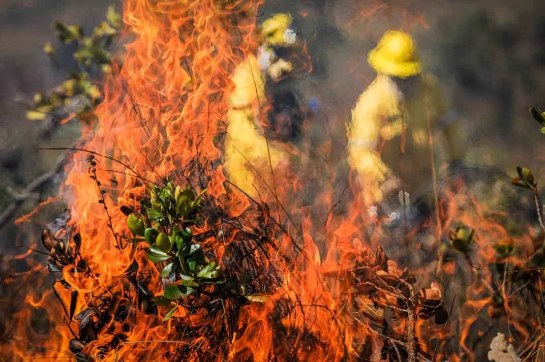 Força-tarefa vai atuar contra crime ambiental para evitar incêndios - Leandro Couri/EM/D.A Press
