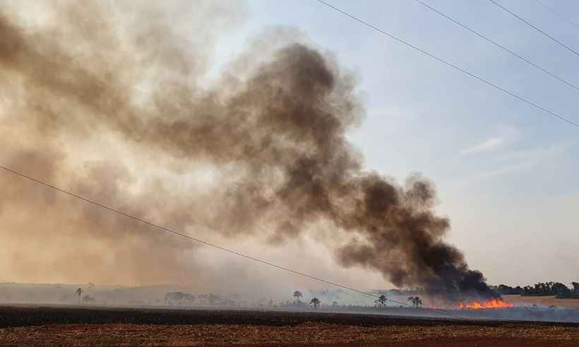 Incêndio interdita estradas, atinge 3 cidades e destrói quase mil hectares - Vinícius Lemos