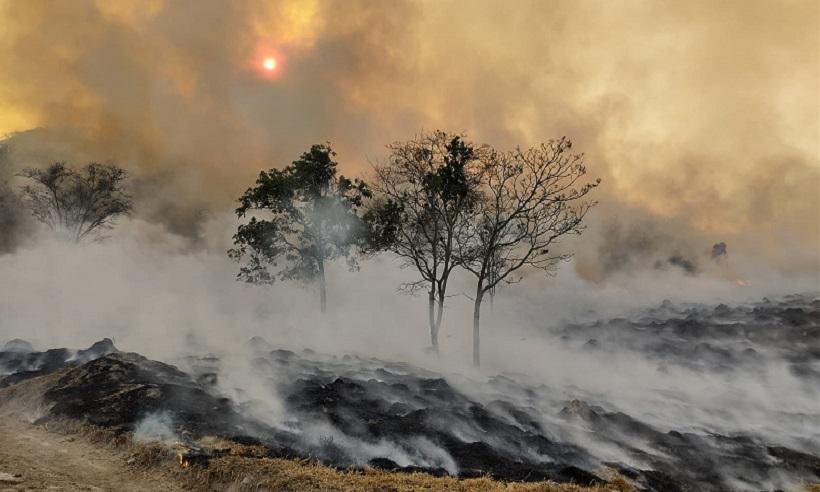 Incêndios florestais seguem desafiando os bombeiros em Minas - O fogo consumiu boa parte da vegetação no Morro do Chapéu, em Nova Serrana