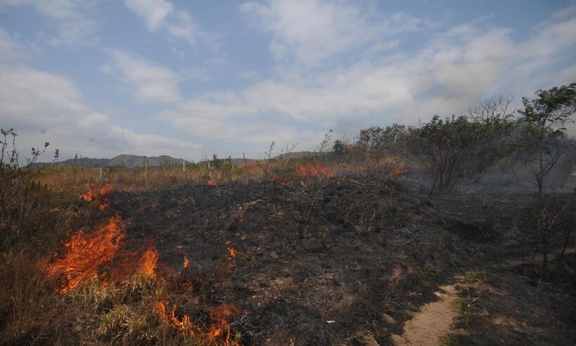 Minas Gerais registra 164 focos de incêndios florestais  - Leandro Couri/EM/D.A Press