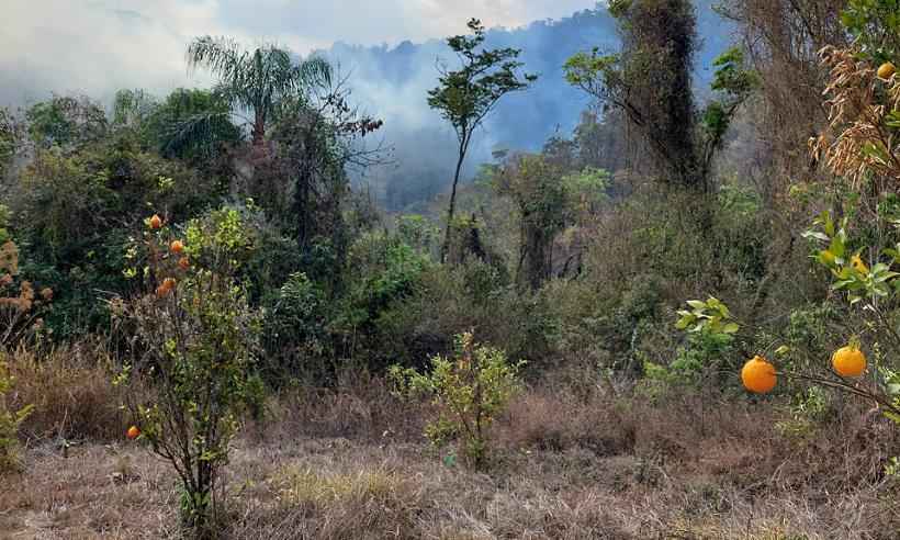 Incêndios florestais diminuem, mas ainda causam preocupação - CBMMG