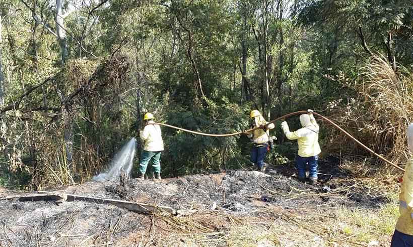 De sábado até hoje, bombeiros registram mais de 600 chamadas de incêndios - Edésio Ferreira/EM/DA Press