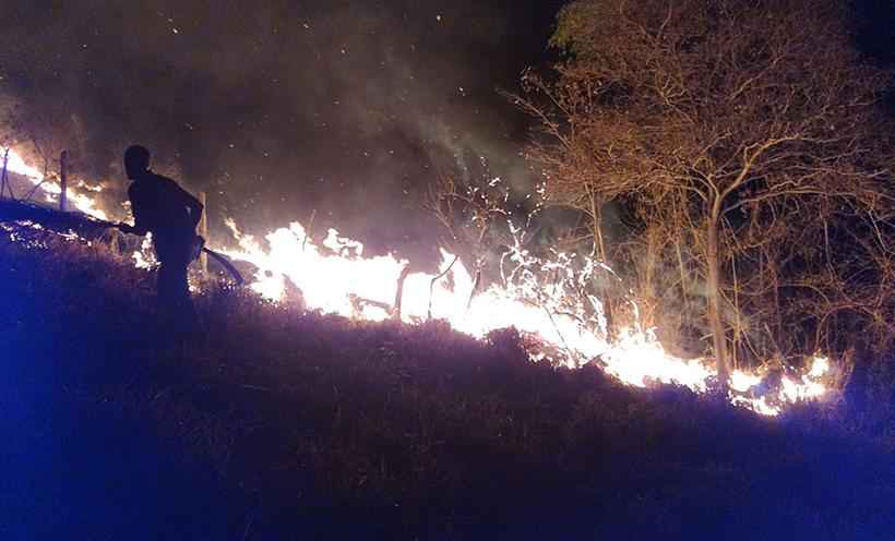 Incêndio consome matas e pastagens em Dom Lara, zona rural de Caratinga - Portal do Caparaó