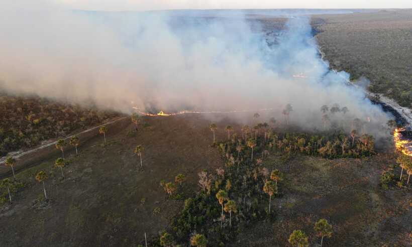 Minas registra sete novos grandes incêndios até esta terça-feira (21/9) - CBMMG/Divulgação