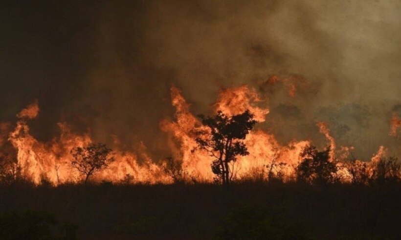 O que fazer quando a fumaça de incêndios florestais entrar em residências - Minervino Júnior/CB/D.A.Press