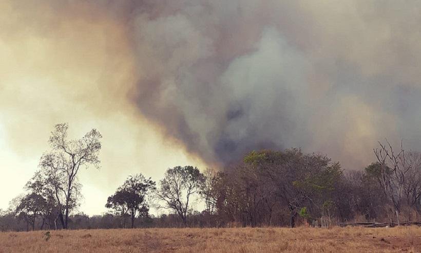 Incêndios florestais continuam a desafiar bombeiros em todo o estado - CBMMG