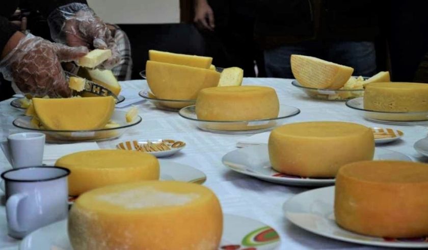 Região mineira pode ser reconhecida como produtora de queijo artesanal  - Emater-MG/Divulgação 