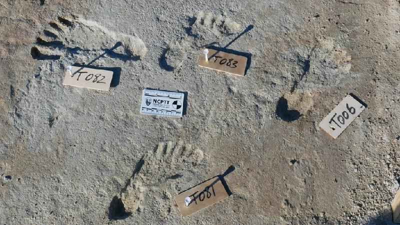 A incrível descoberta que indica presença humana nas Américas muito antes do que se pensava - Bournemouth University