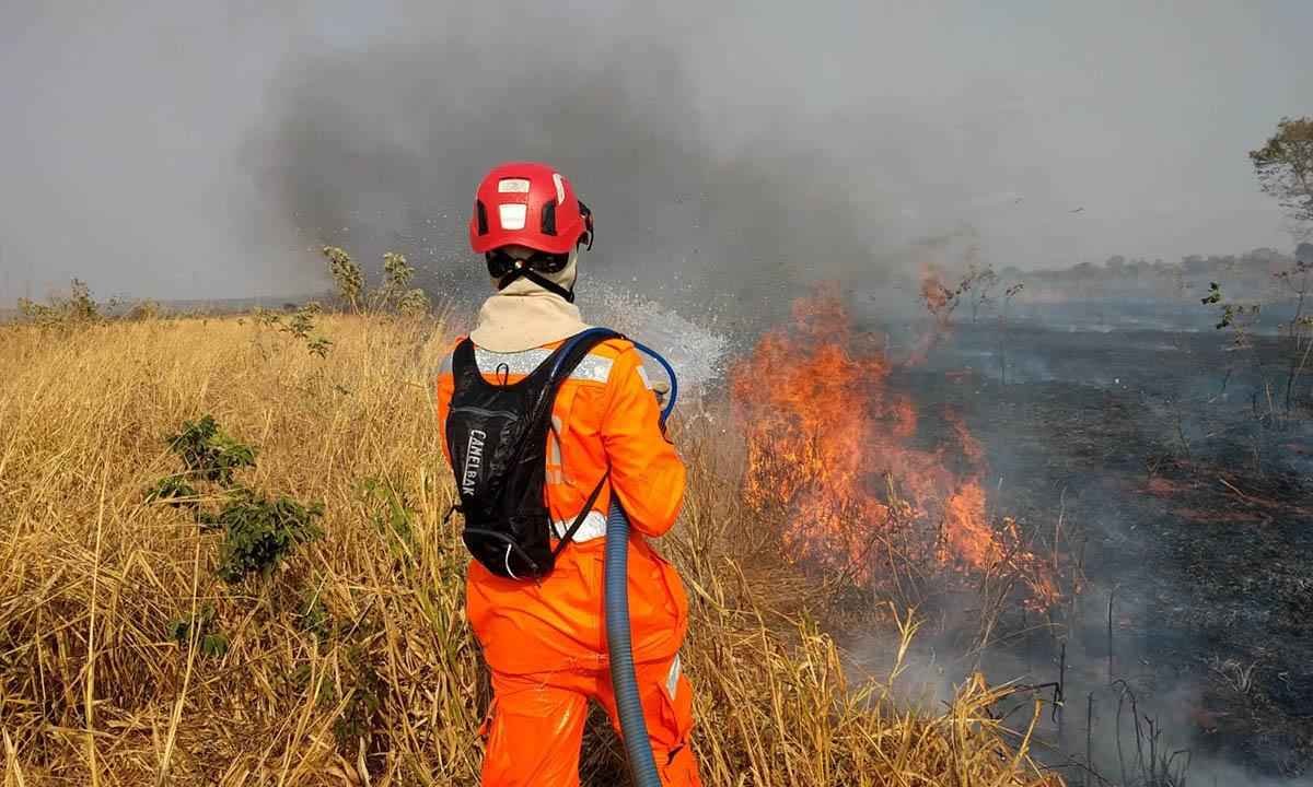 Bombeiros registram mais de 1 mil chamados de incêndios em cinco dias - Corpo de Bombeiros/Divulgação