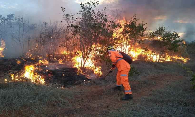 Bombeiros celebram fim de incêndio em Salinas, no Norte do estado - Sala de Imprensa/Cobom