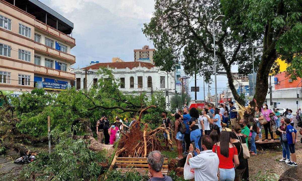 Temporal derruba árvores sobre carros e motos, e mulher é hospitalizada - Terra do Mandu