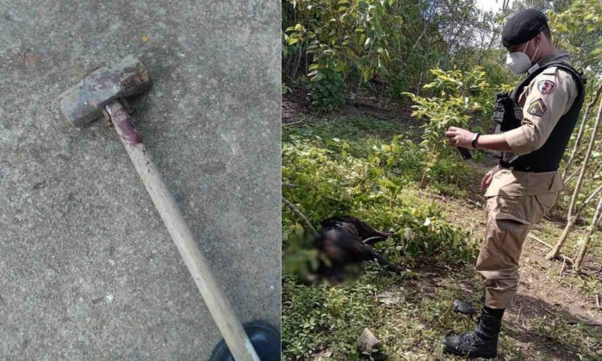 Homem mata cadela após morte de pato e ordem de sogro e é procurado pela PM - Reprodução/ONG Patas de Anjos 