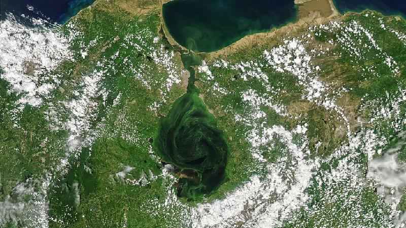 As imagens que mostram como maior lago da América do Sul está ficando verde, com consequências fatais - NASA