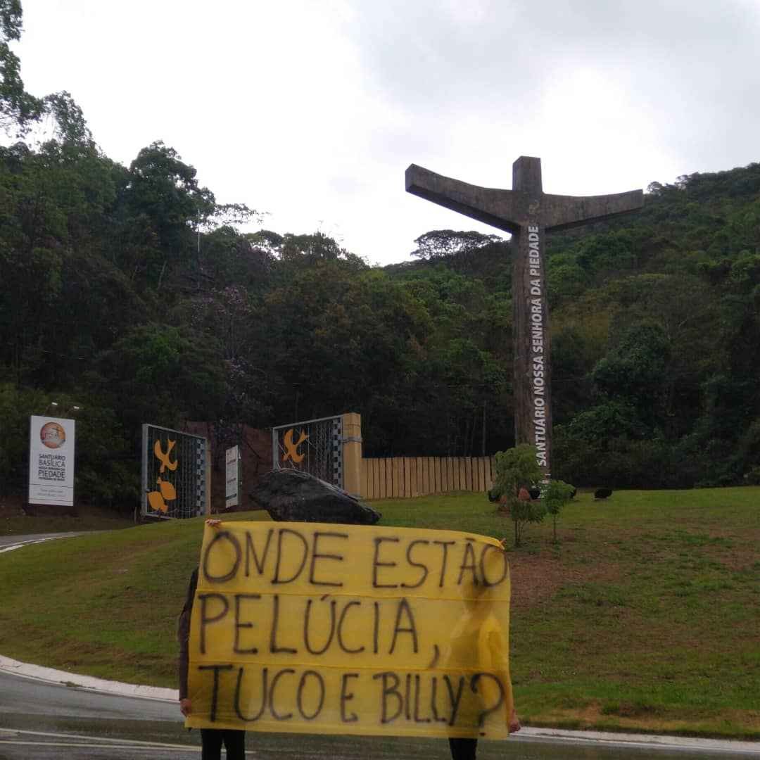 Mistério no sumiço de cães comunitários intriga população em Caeté - SGPAN/Divulgação