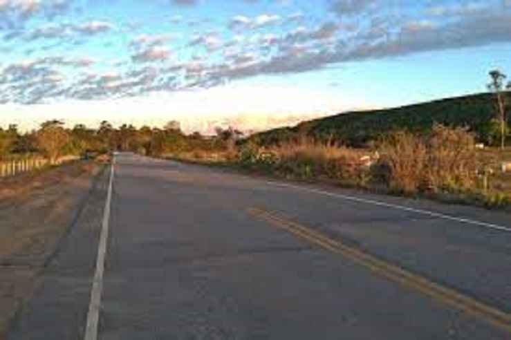 Motociclista morre depois de atropelar búfalo em rodovia mineira - Wikipédia