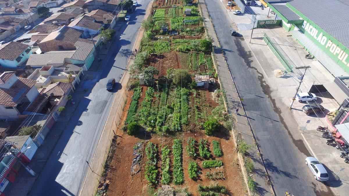 Agricultores de hortas urbanas de Sete Lagoas receberão apoio de parceiros - Prefeitura de Sete Lagoas