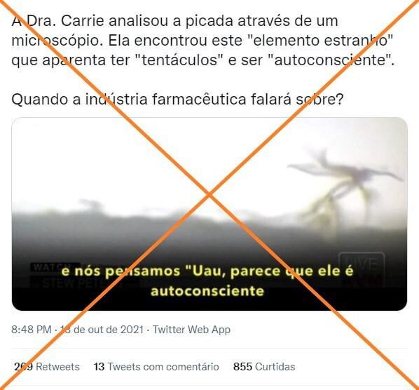 'Objetos' microscópicos com 'tentáculos' em vacina não têm valor científico