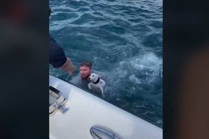 Veja vídeo: velejadores resgatam cachorro perdido no meio do oceano - Reprodução/TikTok