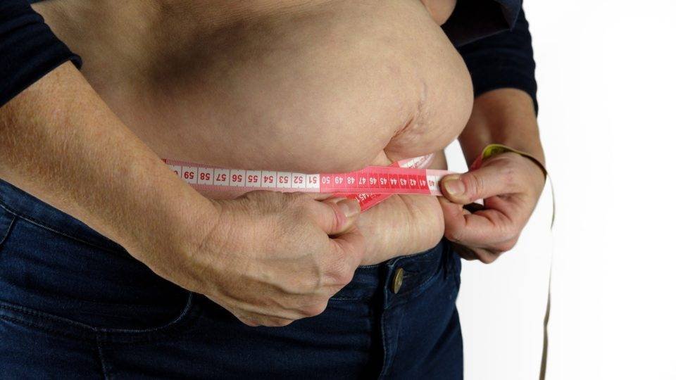 Relação entre obesidade e câncer de intestino: o papel dos inflamassomas - Pixabay