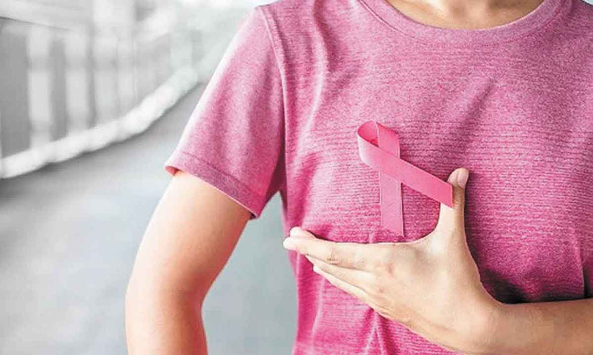 Fatos e fakes sobre o câncer de mama - Pixabay