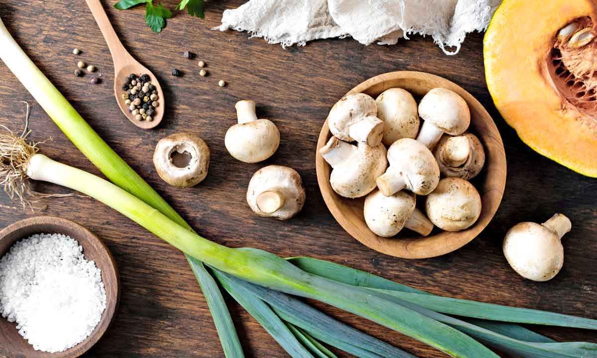 Não só Itália: feira de gastronomia em Milão apresenta marcas estrangeiras - Fungo/Divulgação