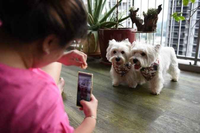 Estudos investigam a semelhança entre comportamentos humano e canino - Catherine LAI / AFP