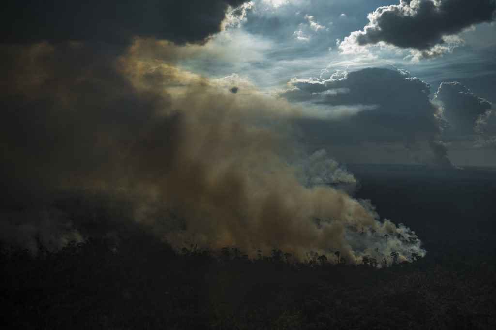 Amazônia se aproxima de 'ponto de inflexão' e pode virar savana - MAURO PIMENTEL / AFP
