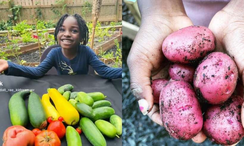 Menina de 6 anos é a mais jovem agricultora de comunidade dos EUA - Reprodução/Instagram 